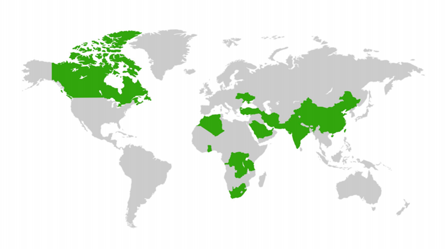 Global market layout